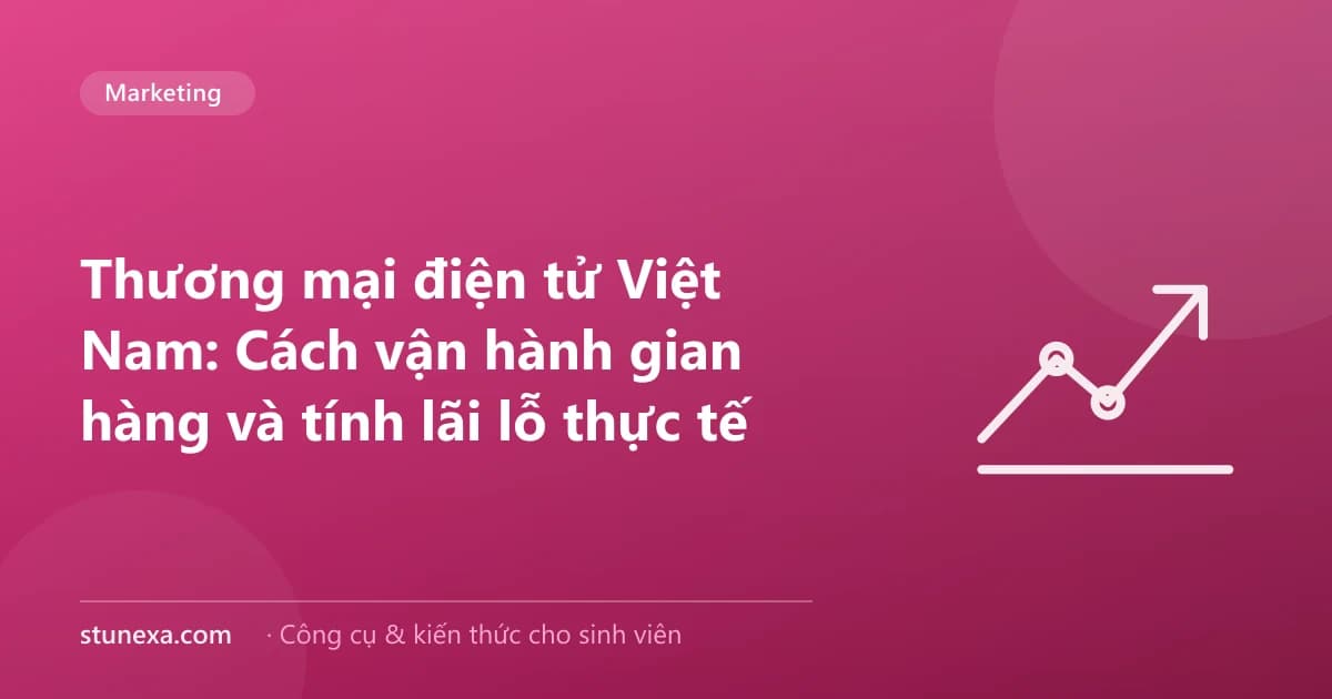 Thương mại điện tử Việt Nam: Cách vận hành gian hàng và tính lãi lỗ thực tế